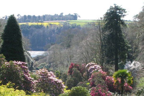 Trebah Gardens