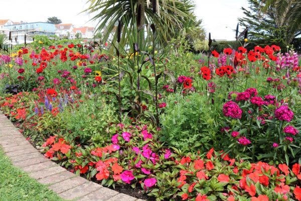 One for the gallery Queen Mary Gardens Falmouth