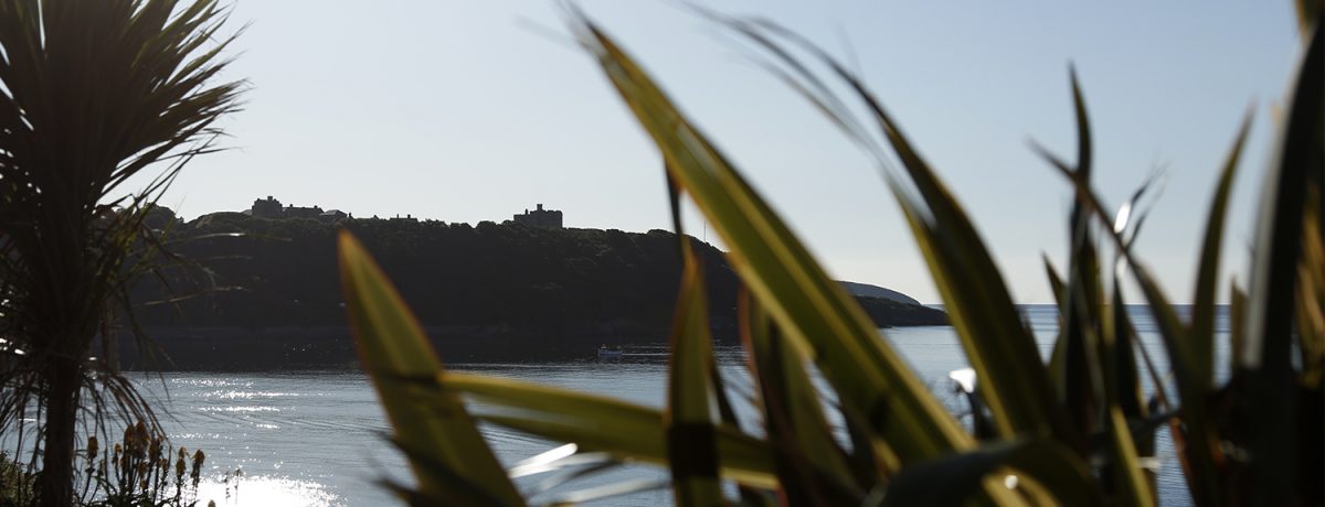 The silhouette of Pendennis Point in Falmouth through some foliage.
